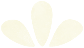 white-elements (18)