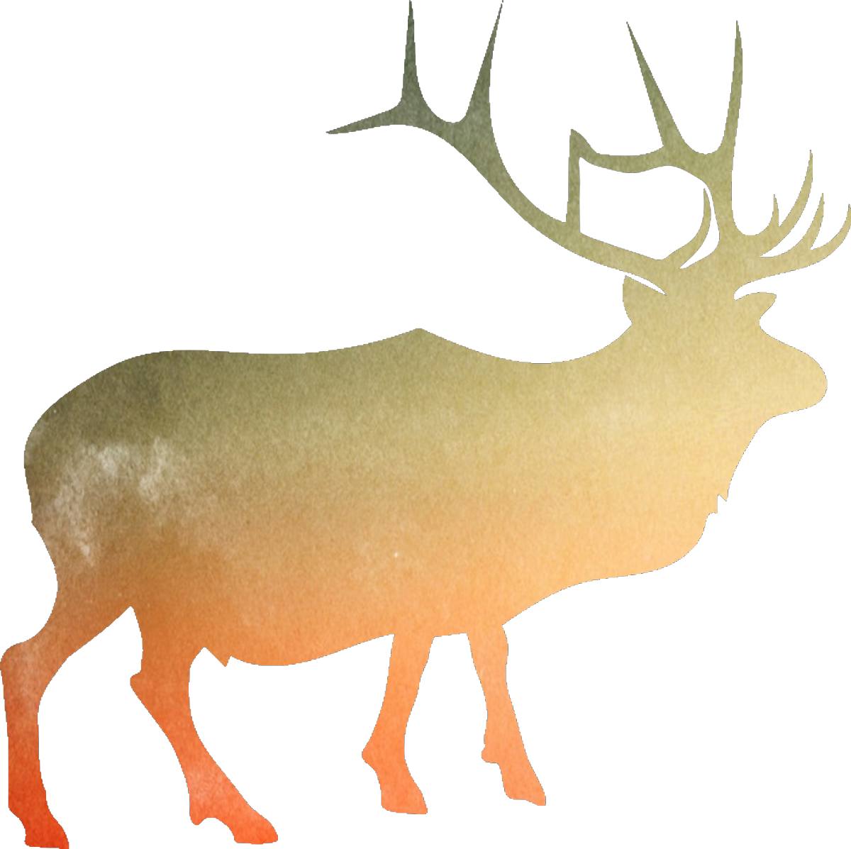watercolor deer (1)