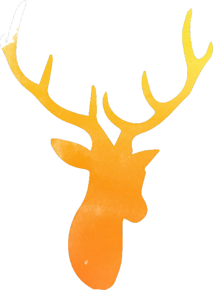watercolor deer (2)