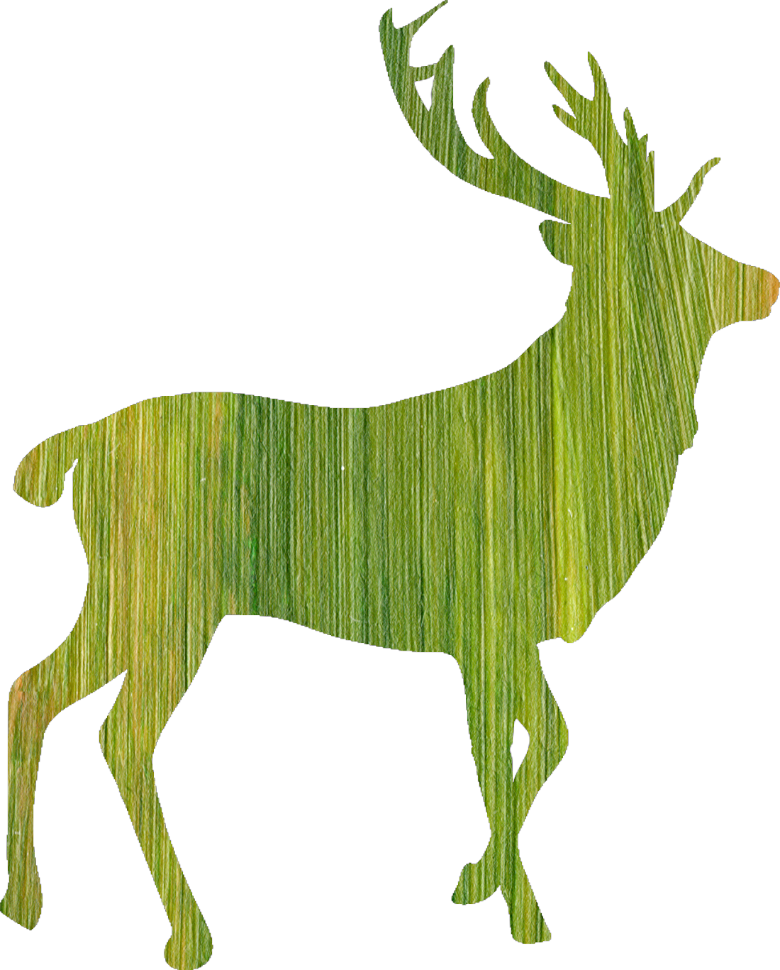 watercolor deer (5)
